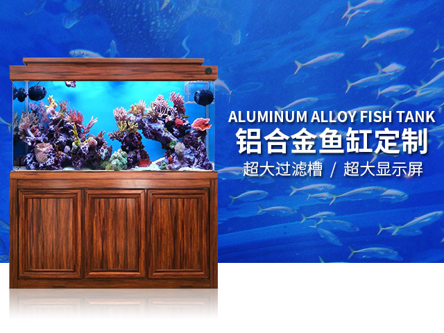 近水楼鱼缸定做_水族箱鱼缸厂家_海鲜鱼缸定制_湖南百丰工艺品有限公司